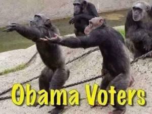 Obama voters